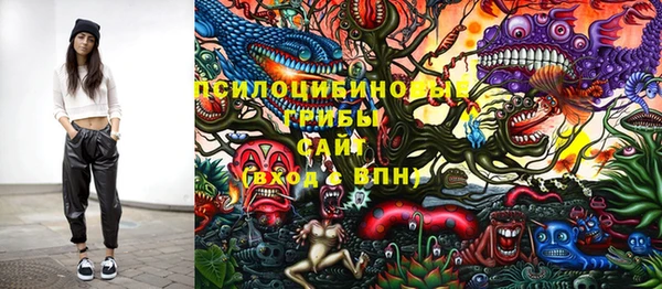 метадон Арсеньев