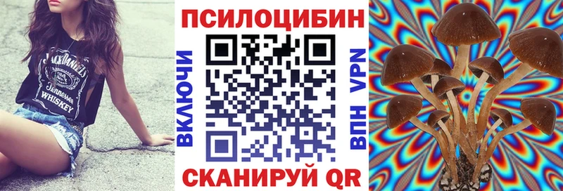 Псилоцибиновые грибы прущие грибы  omg tor  Красноуральск 